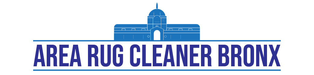 Area Rug Cleaner Bronx